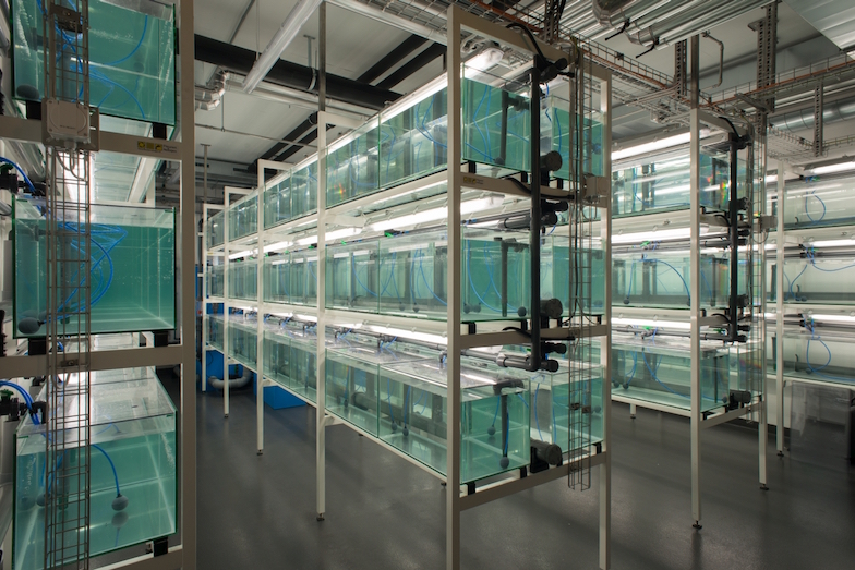 August 2016: Our brand-new stickleback facility in Bern is ready!
