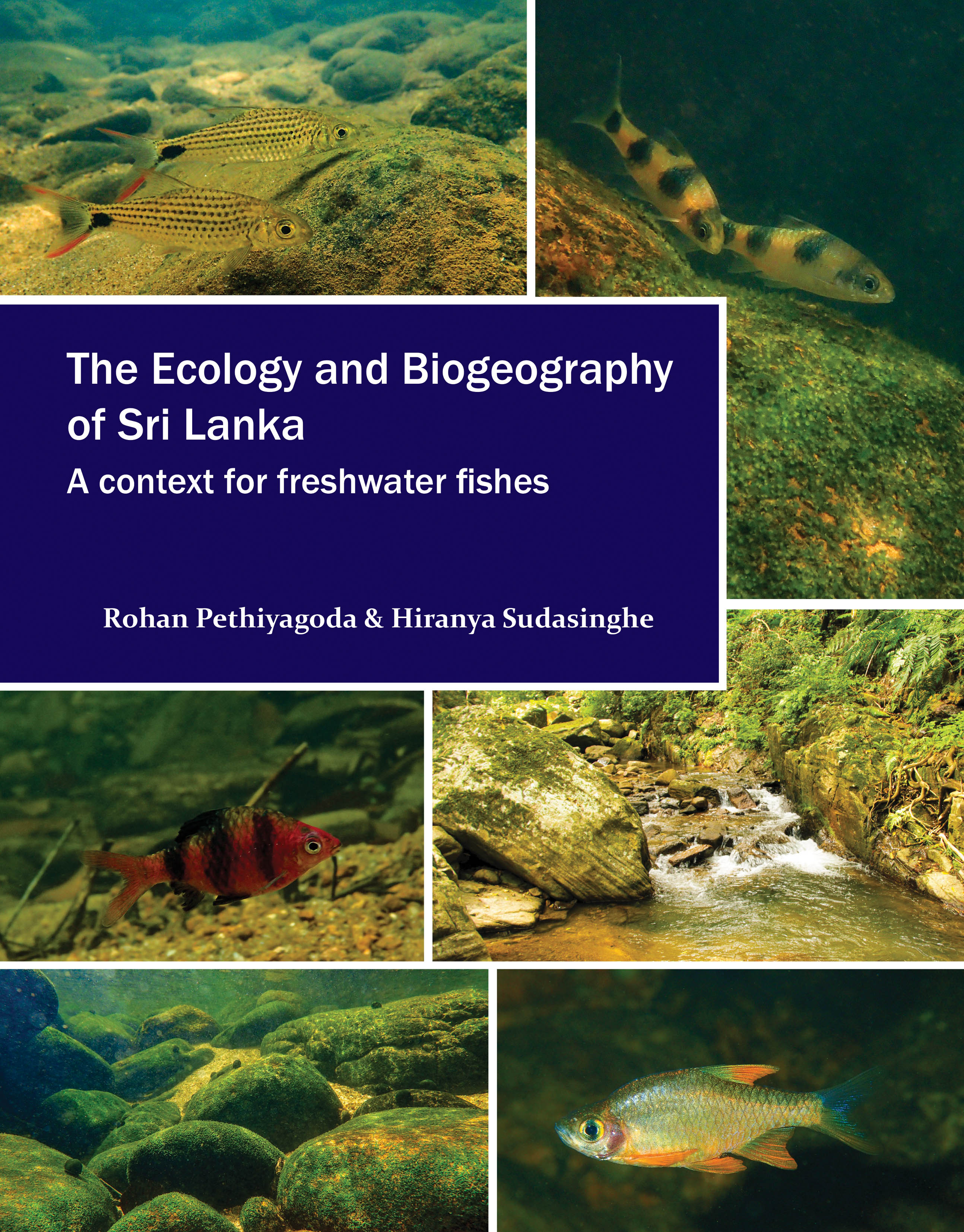 The Ecology and Biogeography of Sri Lanka: A context for freshwater fishes