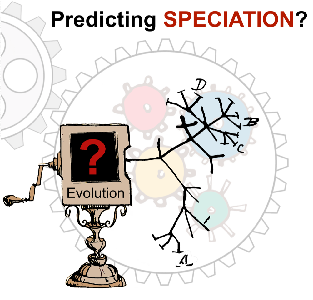 Predicting speciation?