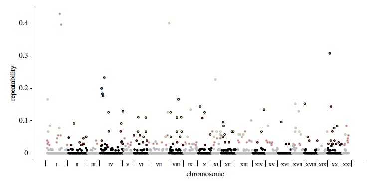 Convergent evolution in the genomics era